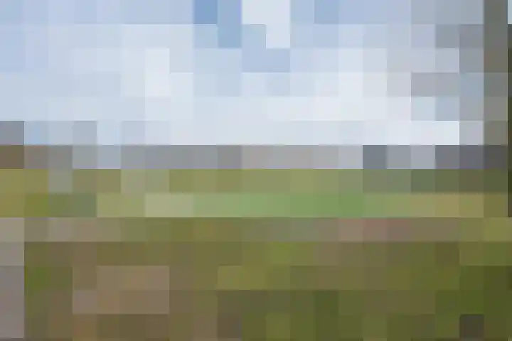 Galerijmuur 32 Houten thumbnail 34