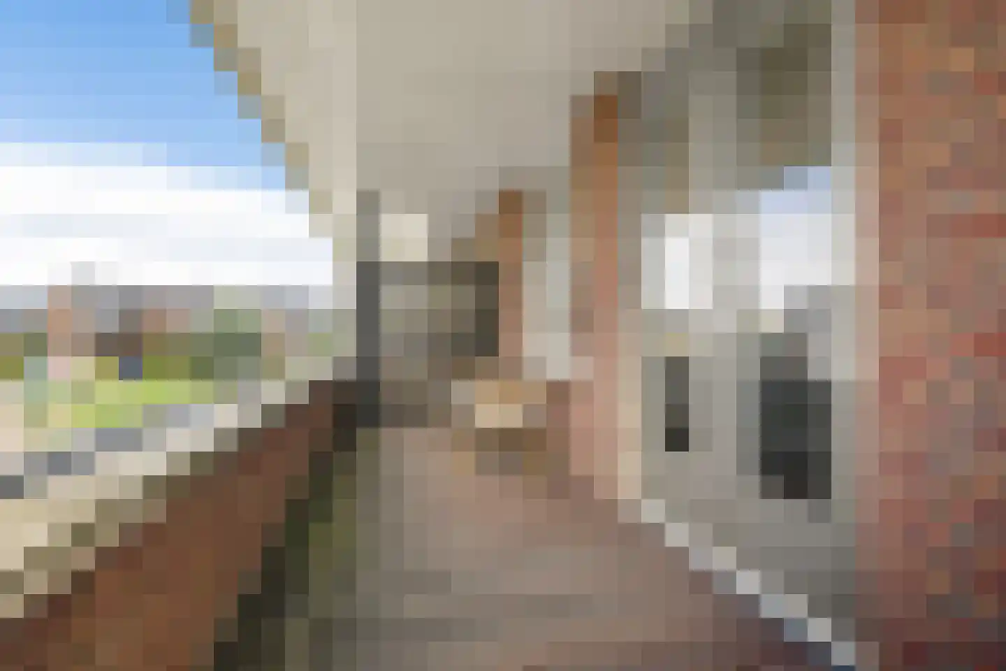 Galerijmuur 36 Houten thumbnail 14