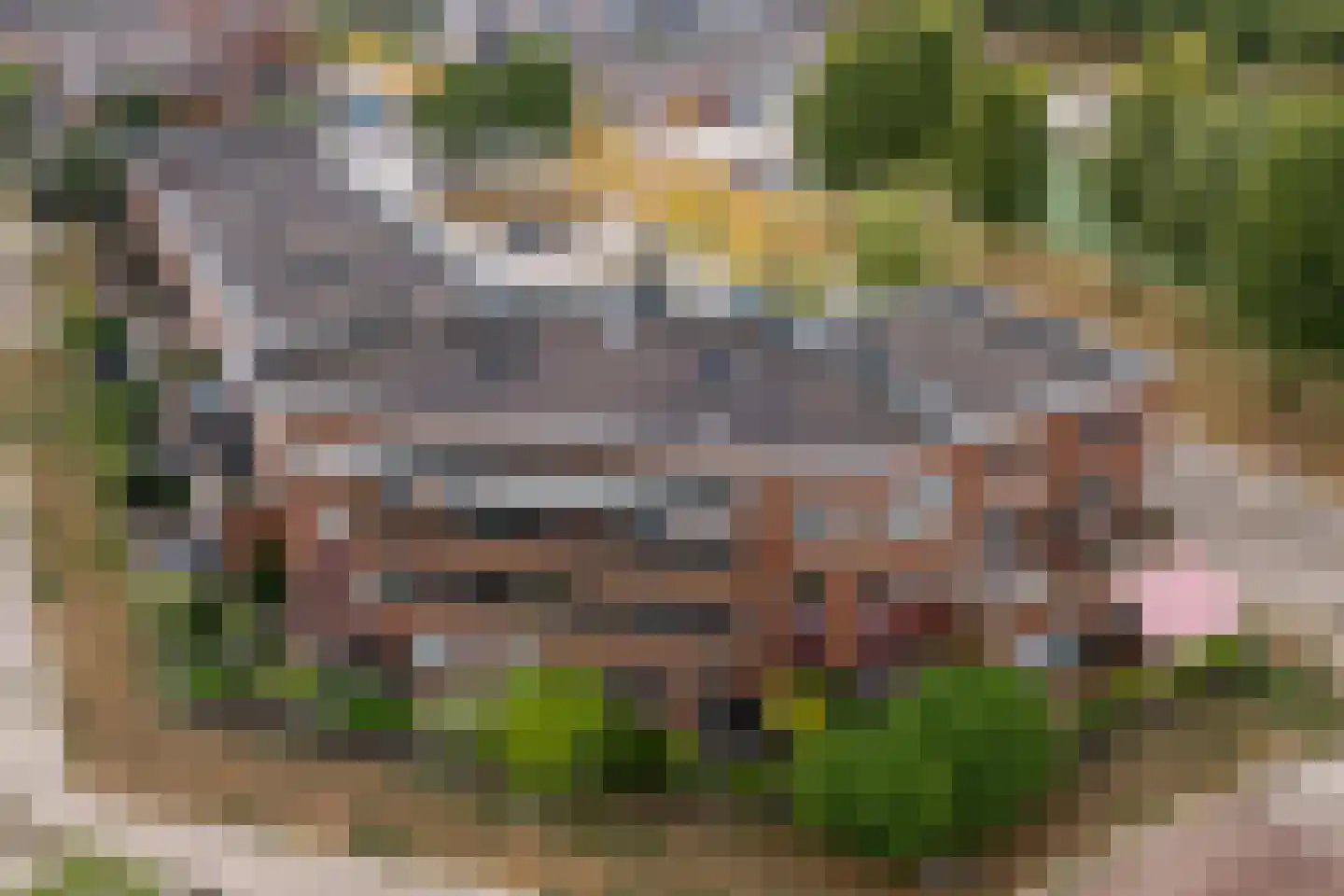 Galerijmuur 6 Houten thumbnail 34