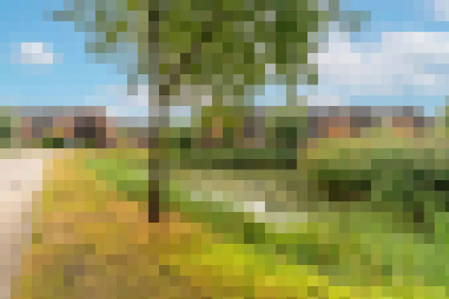 Galerijmuur 6 Houten thumbnail 39