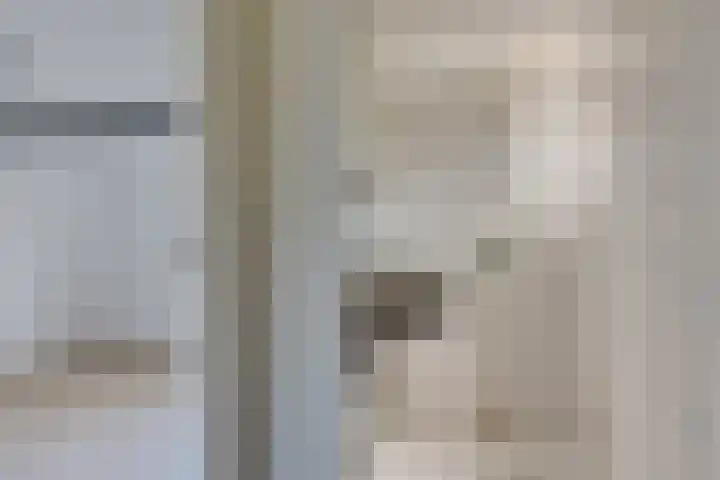 Galge 6 Stiens thumbnail 10