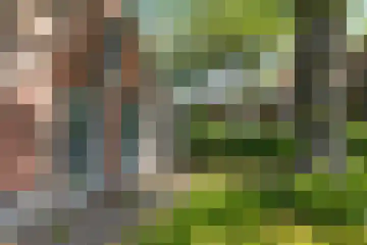 Galge 6 Stiens thumbnail 12