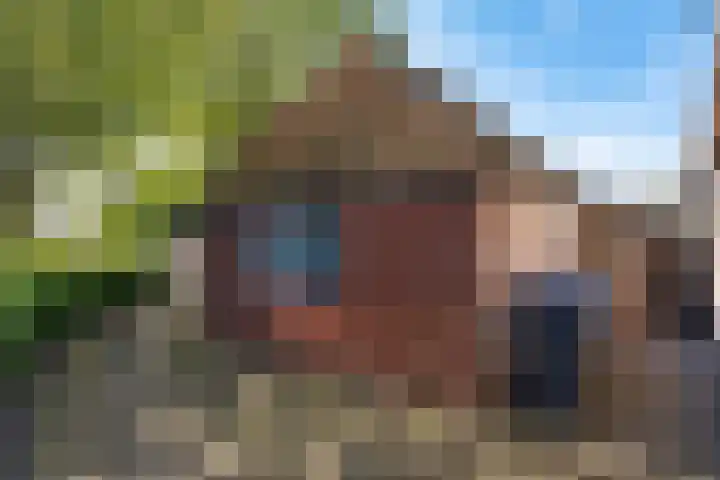 Galge 6 Stiens thumbnail 14