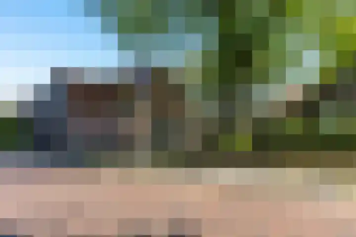 Galge 6 Stiens thumbnail 17