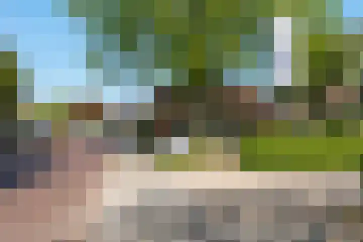 Galge 6 Stiens thumbnail 19