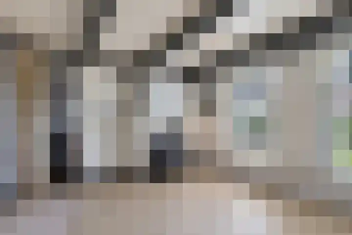 Galge 6 Stiens foto 2