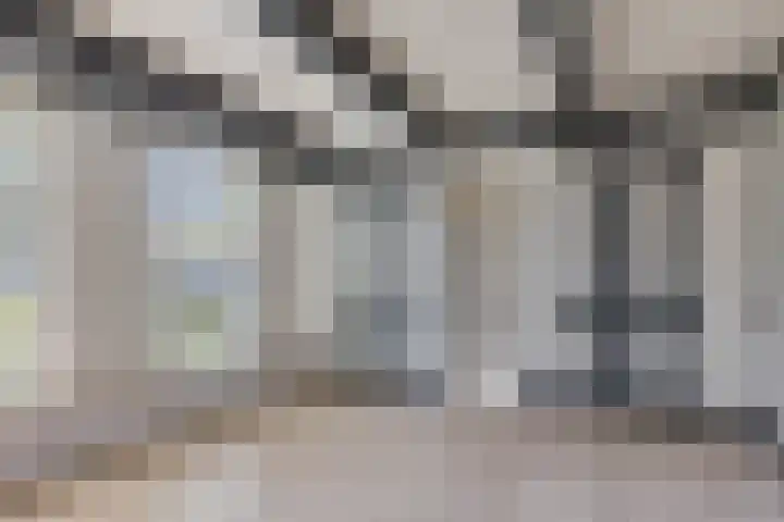 Galge 6 Stiens foto 3