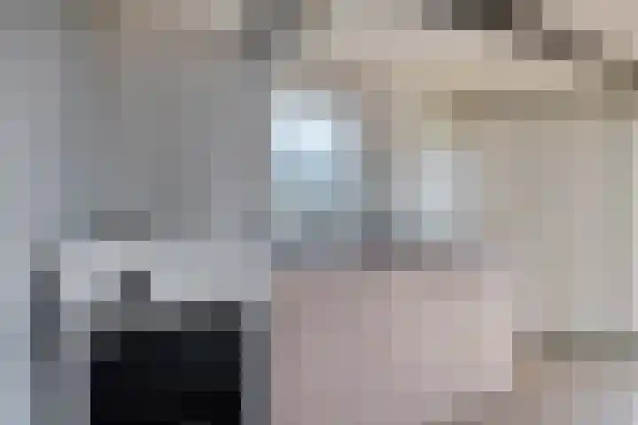 Galge 6 Stiens thumbnail 6