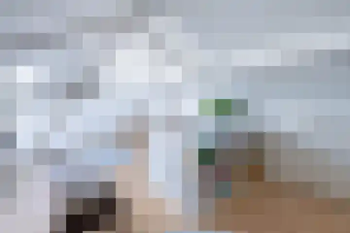 Galgekade 16 Roelofarendsveen thumbnail 24