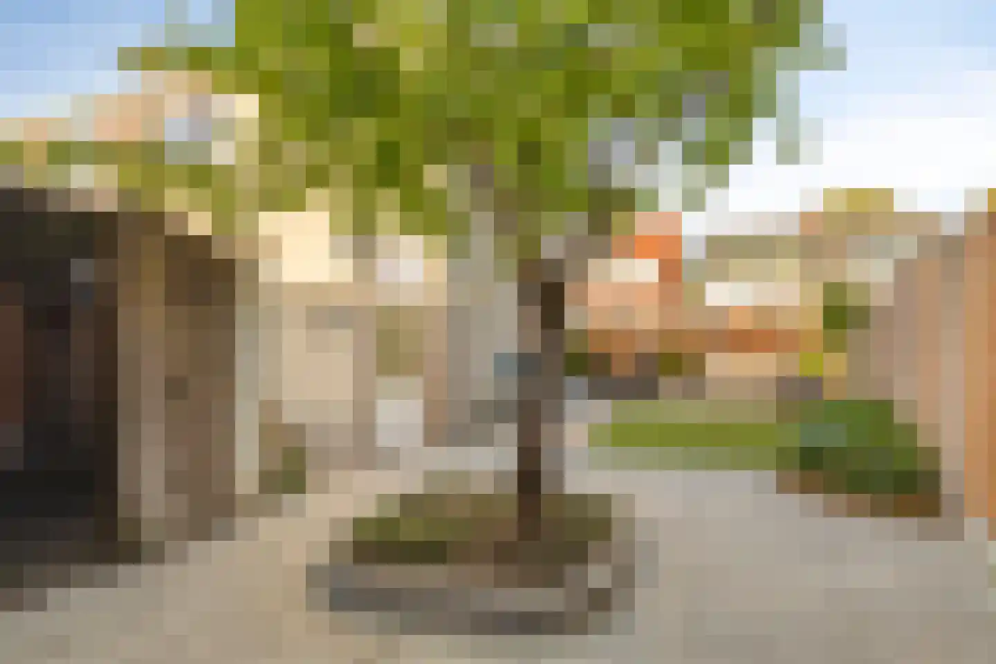 Galgenbaan 16 Bergen op Zoom thumbnail 65