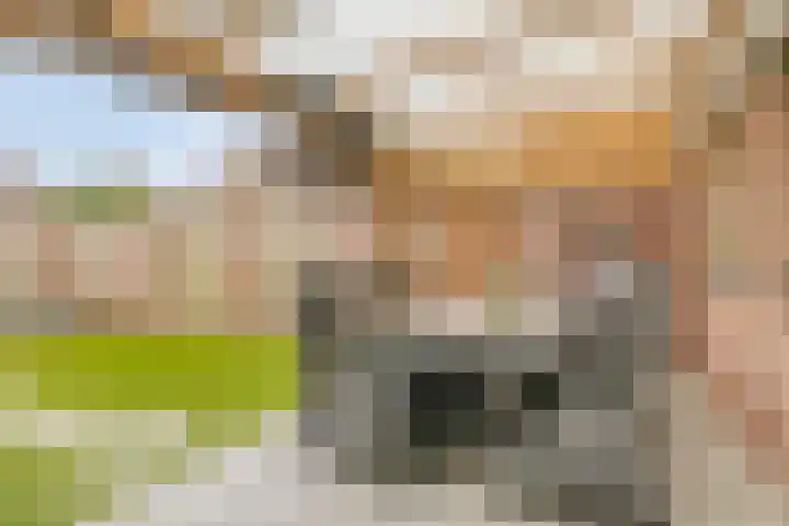Galgenberg 16 Veldhoven thumbnail 20