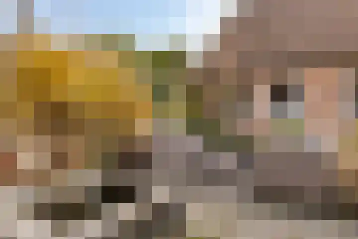 Galgenberg 47 Veldhoven thumbnail 32