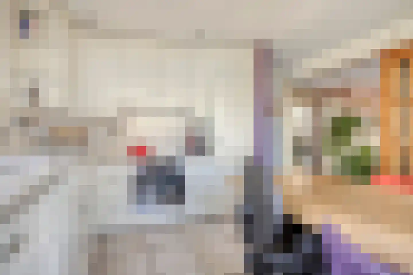 Galgendijk 3 Dinteloord thumbnail 14