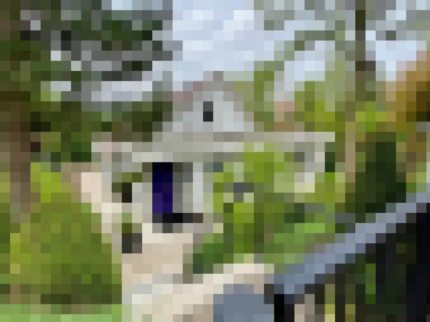 Galgendijk 3 Dinteloord foto 2