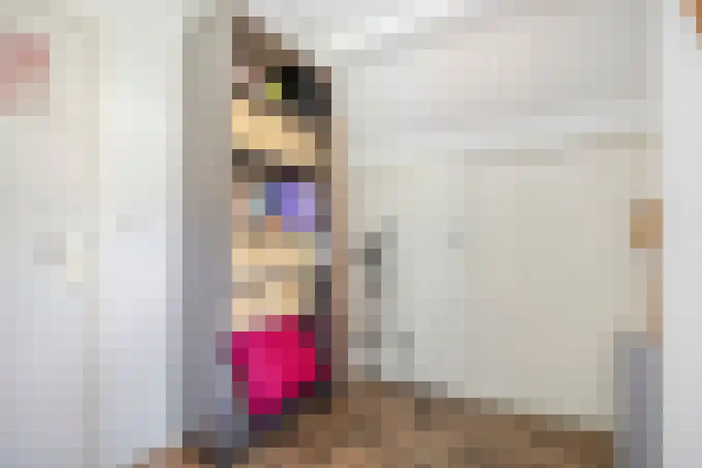 Galgendijk 3 Dinteloord thumbnail 22