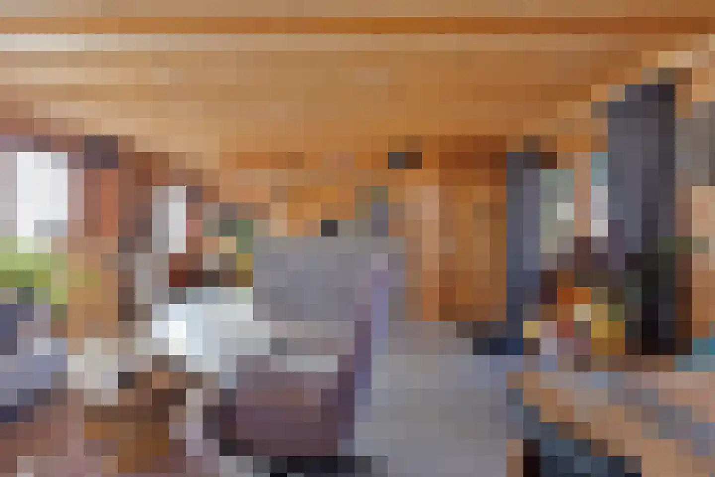 Galgendijk 3 Dinteloord thumbnail 25