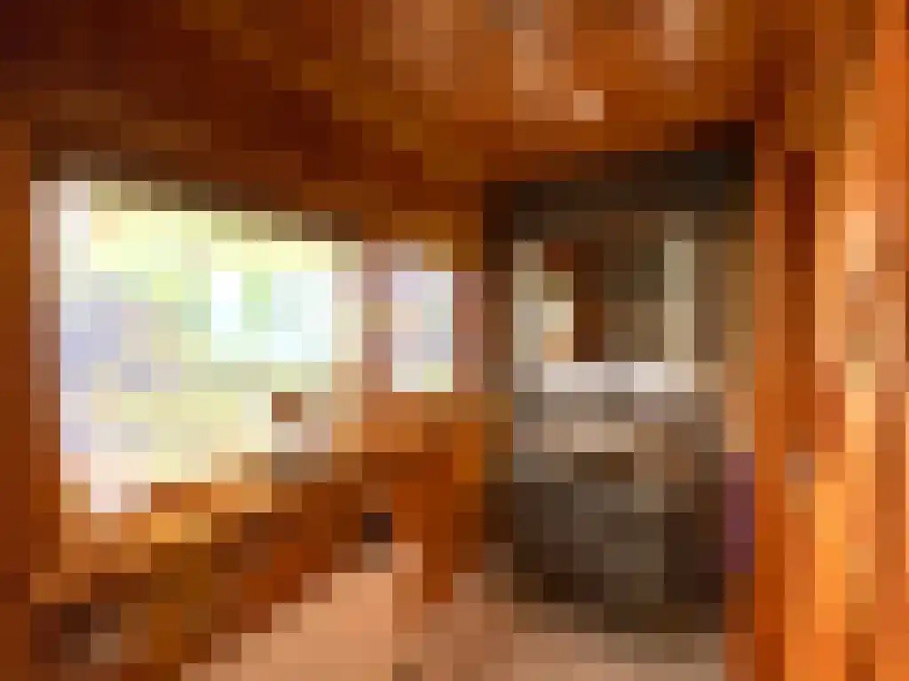 Galgendijk 3 Dinteloord thumbnail 27