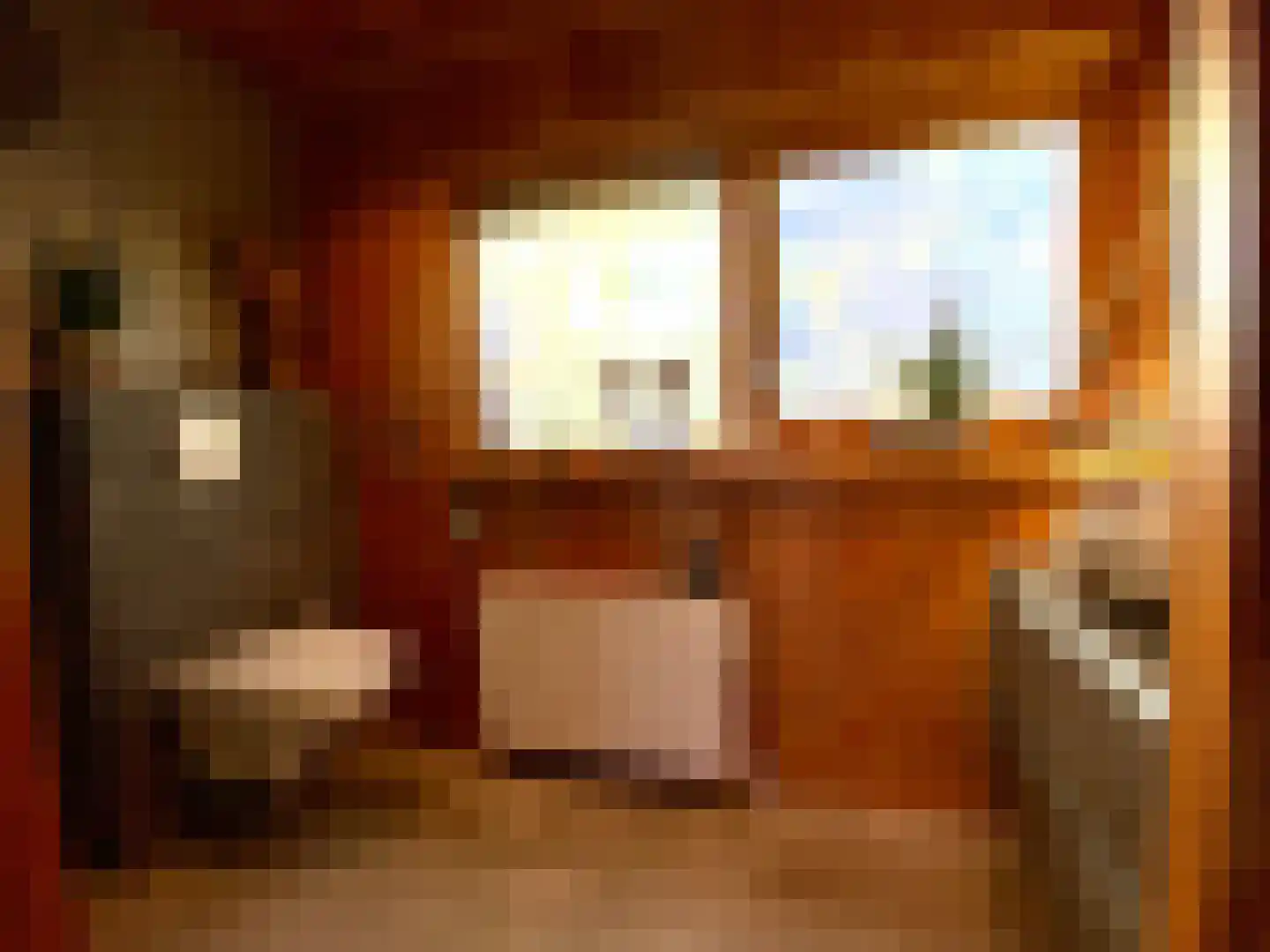 Galgendijk 3 Dinteloord thumbnail 28