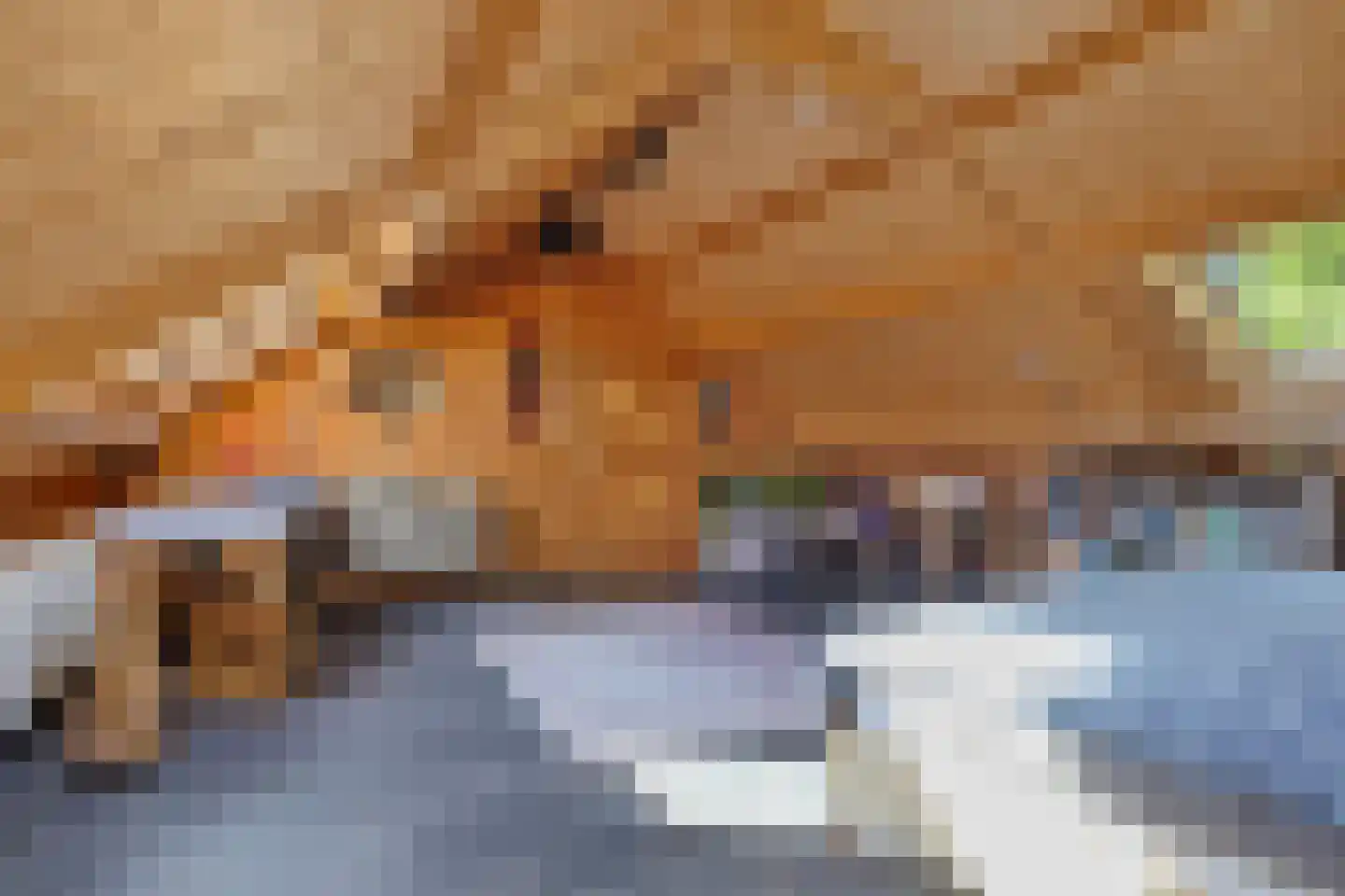 Galgendijk 3 Dinteloord thumbnail 30
