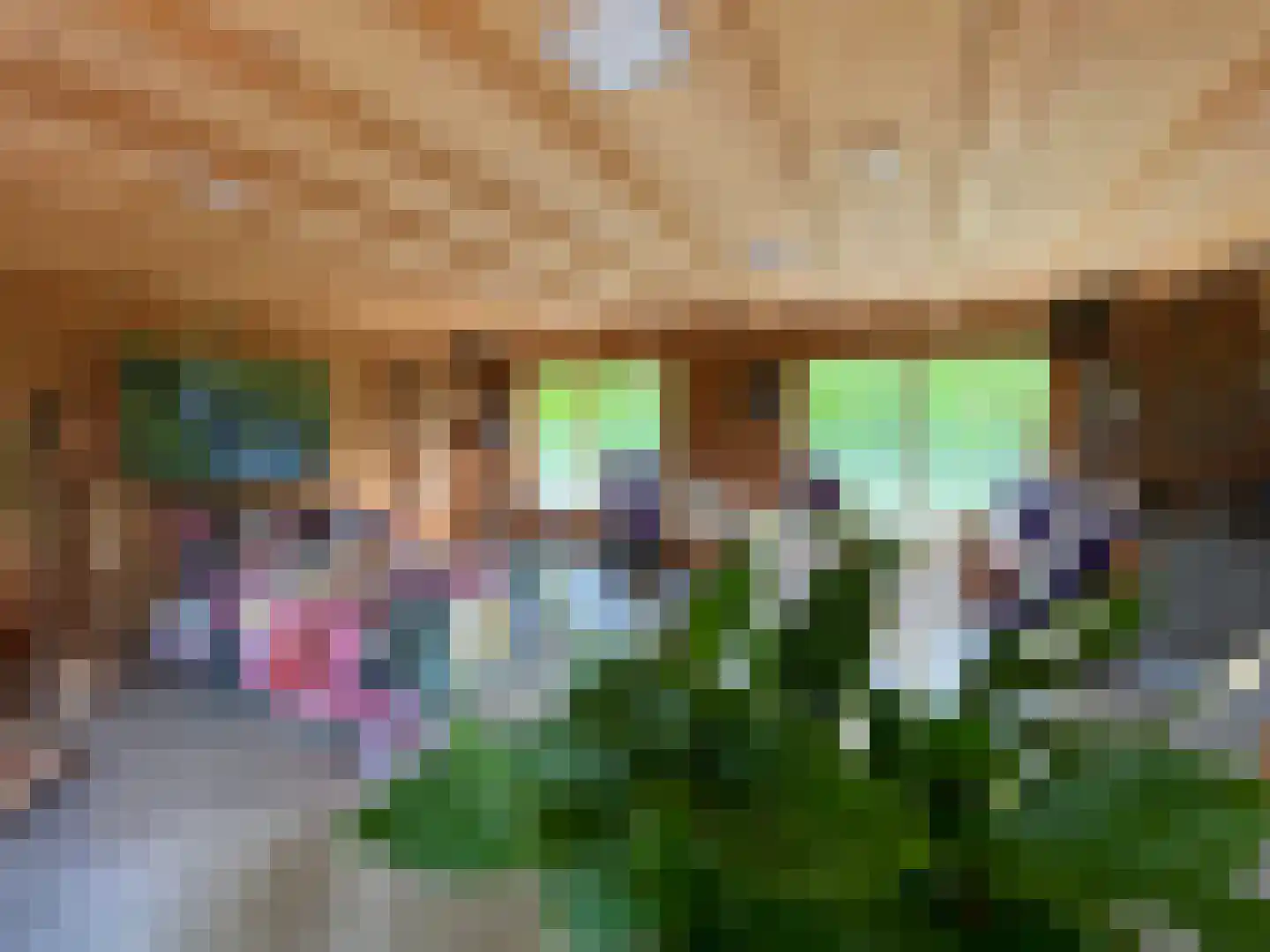Galgendijk 3 Dinteloord thumbnail 32