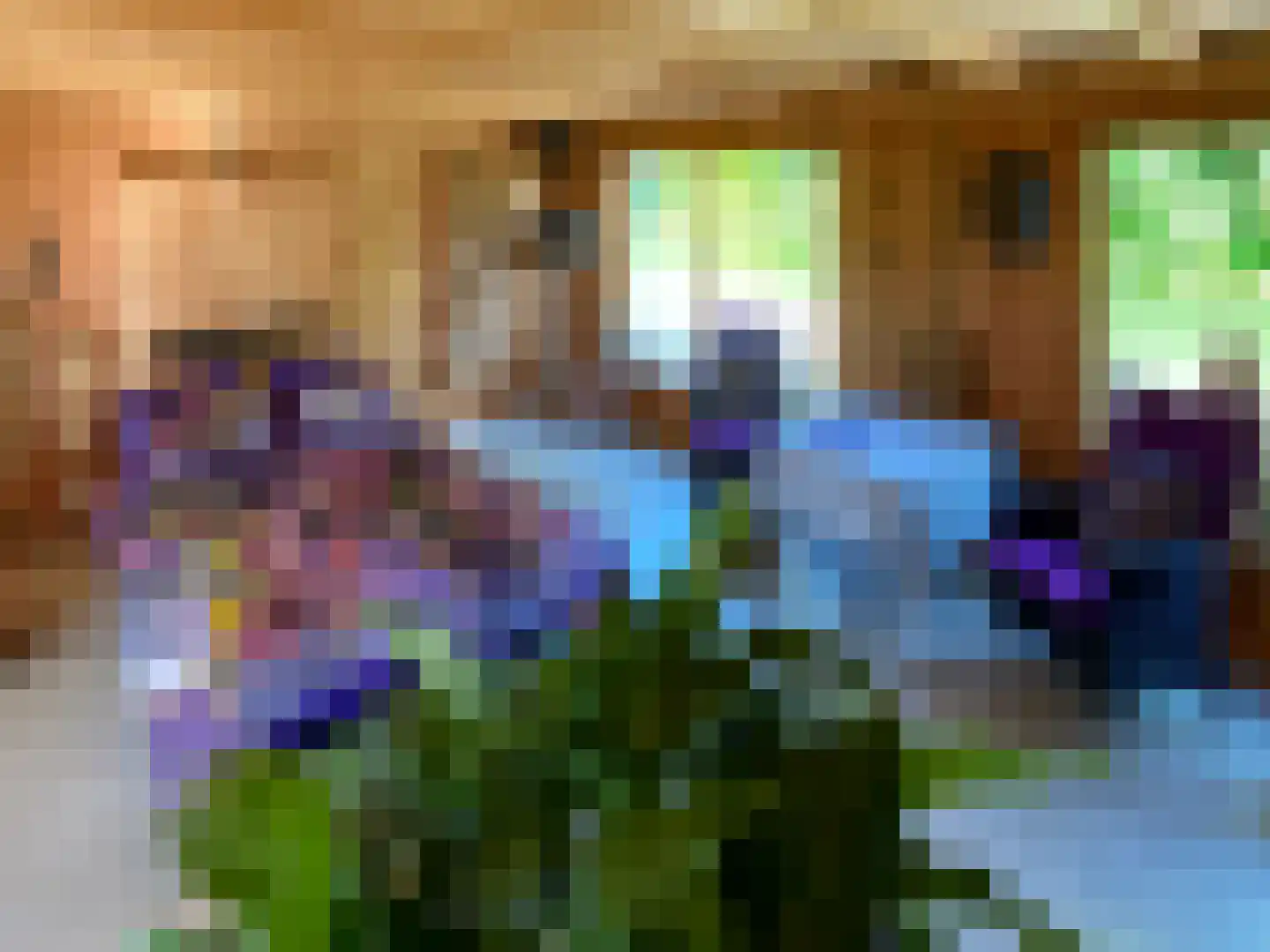 Galgendijk 3 Dinteloord thumbnail 33