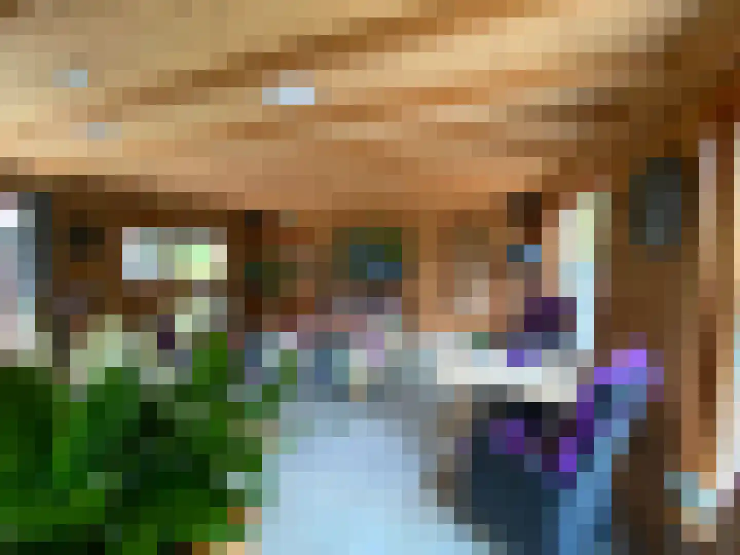Galgendijk 3 Dinteloord thumbnail 34