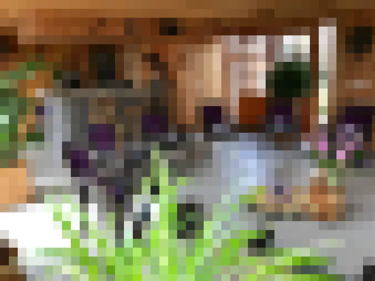 Galgendijk 3 Dinteloord thumbnail 38