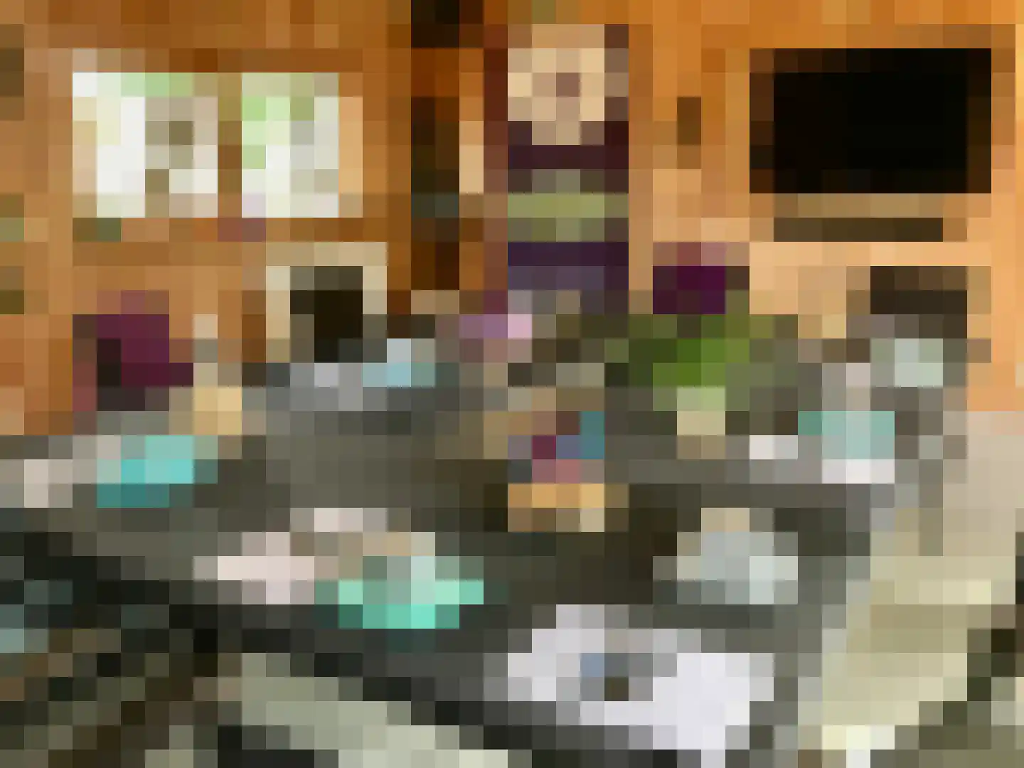 Galgendijk 3 Dinteloord thumbnail 39