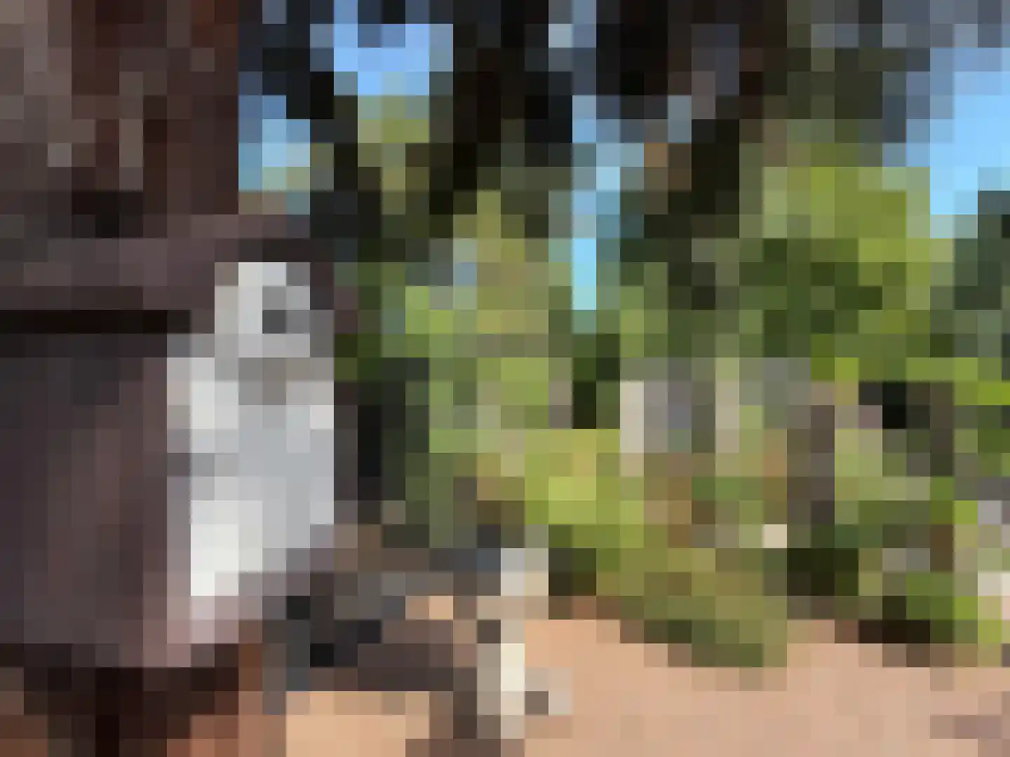 Galgendijk 3 Dinteloord thumbnail 43