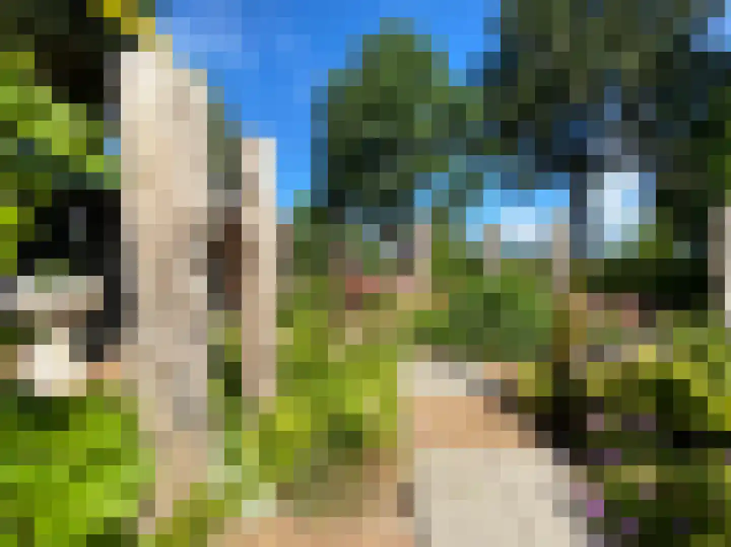 Galgendijk 3 Dinteloord thumbnail 44