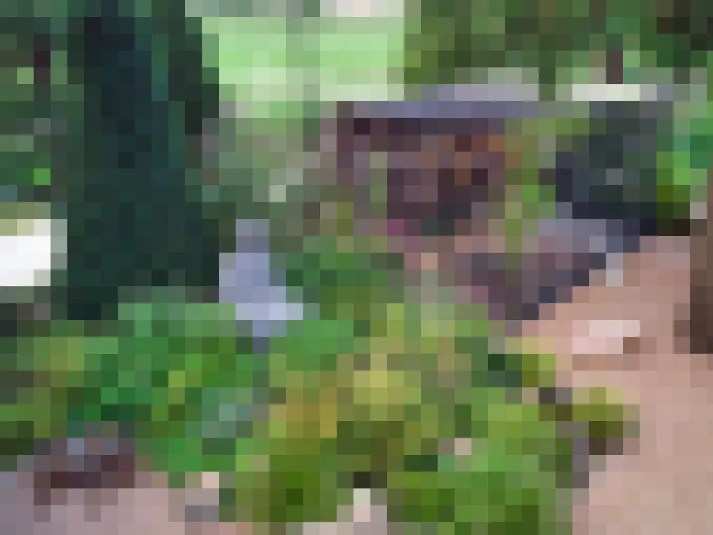 Galgendijk 3 Dinteloord thumbnail 45
