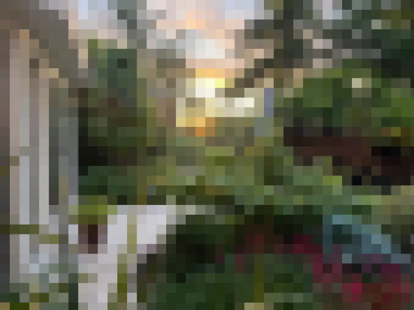 Galgendijk 3 Dinteloord thumbnail 47