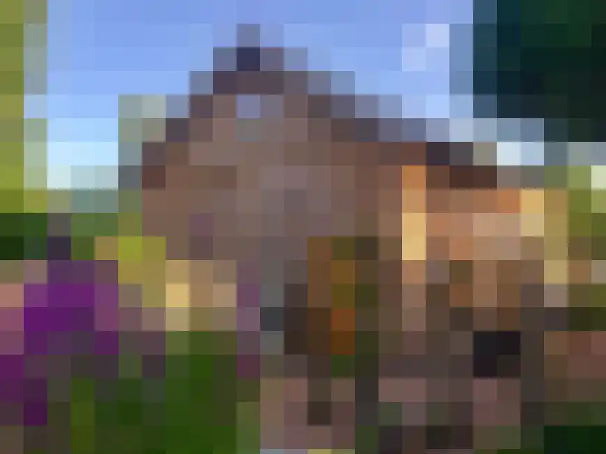 Galgendijk 3 Dinteloord thumbnail 48