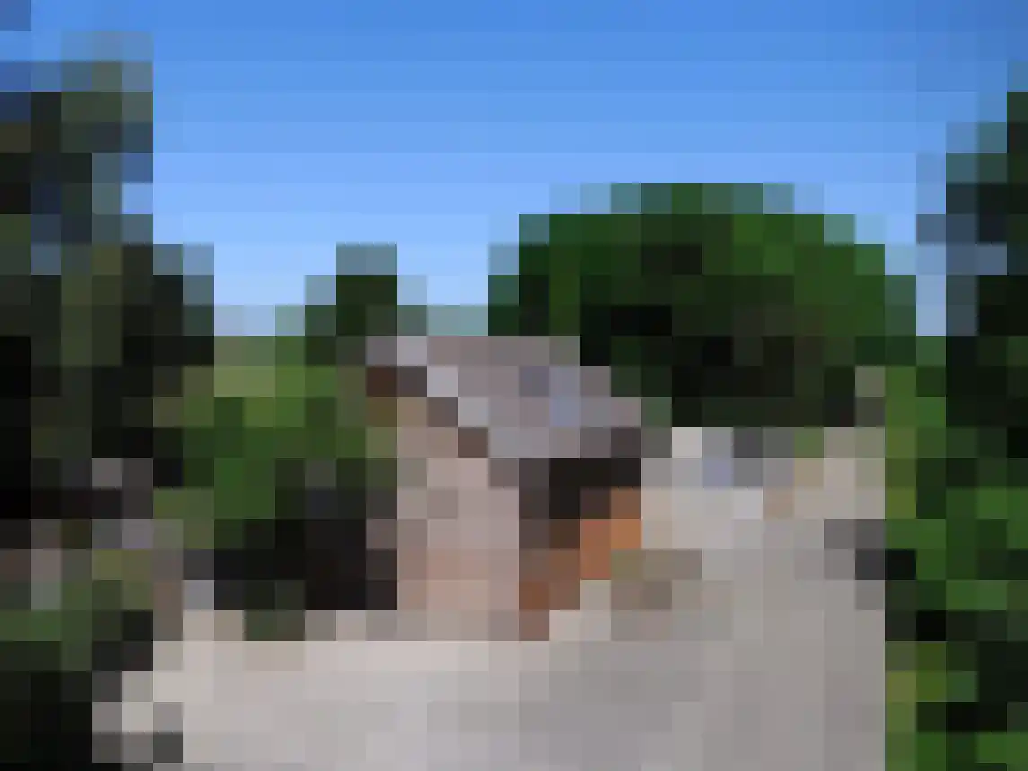 Galgendijk 3 Dinteloord thumbnail 49