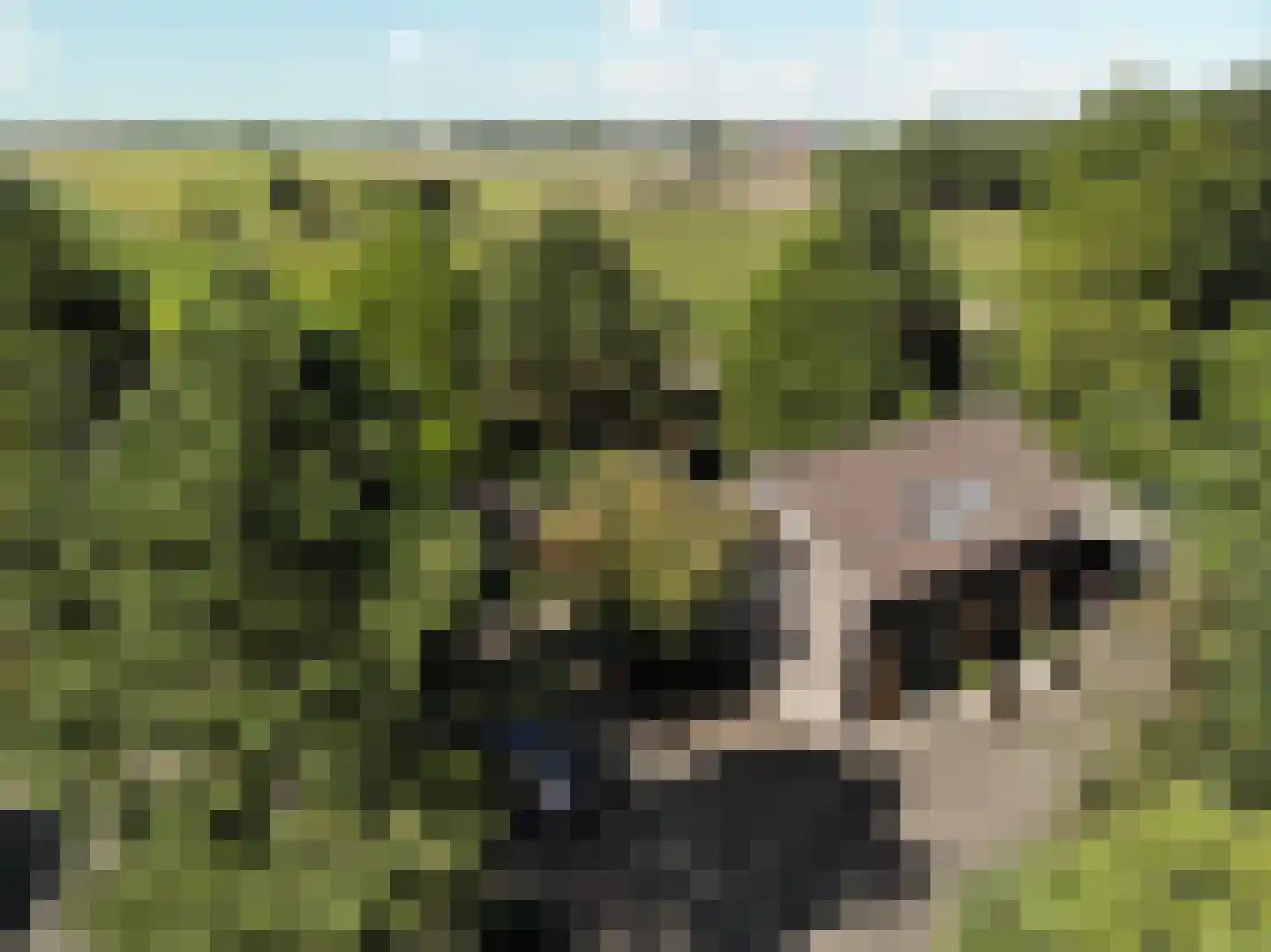 Galgendijk 3 Dinteloord thumbnail 5