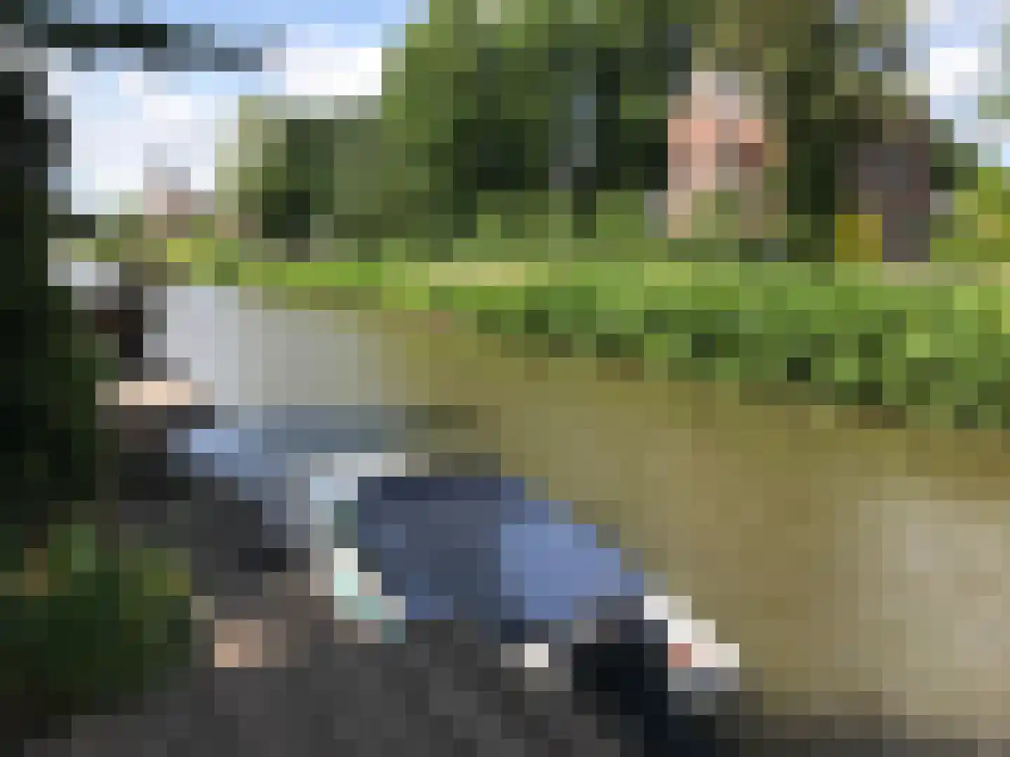 Galgendijk 3 Dinteloord thumbnail 53