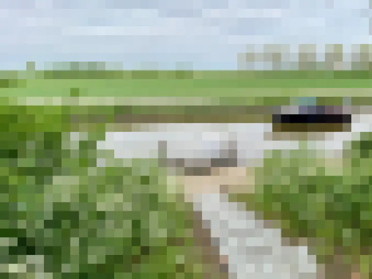 Galgendijk 3 Dinteloord thumbnail 55