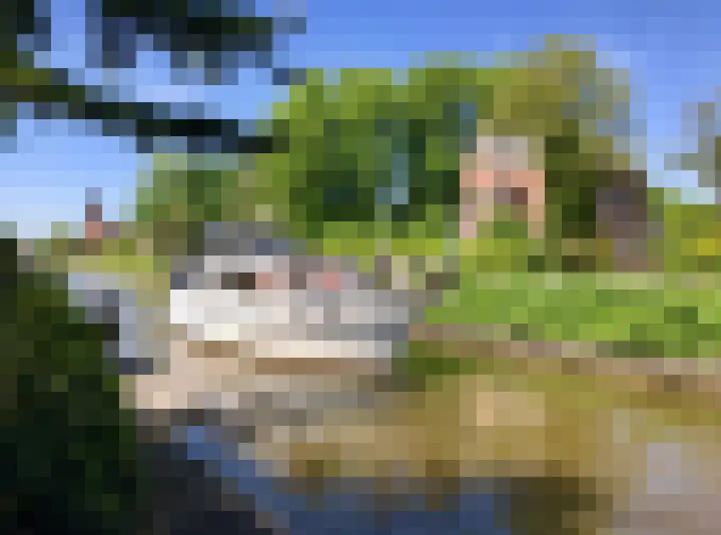 Galgendijk 3 Dinteloord thumbnail 56