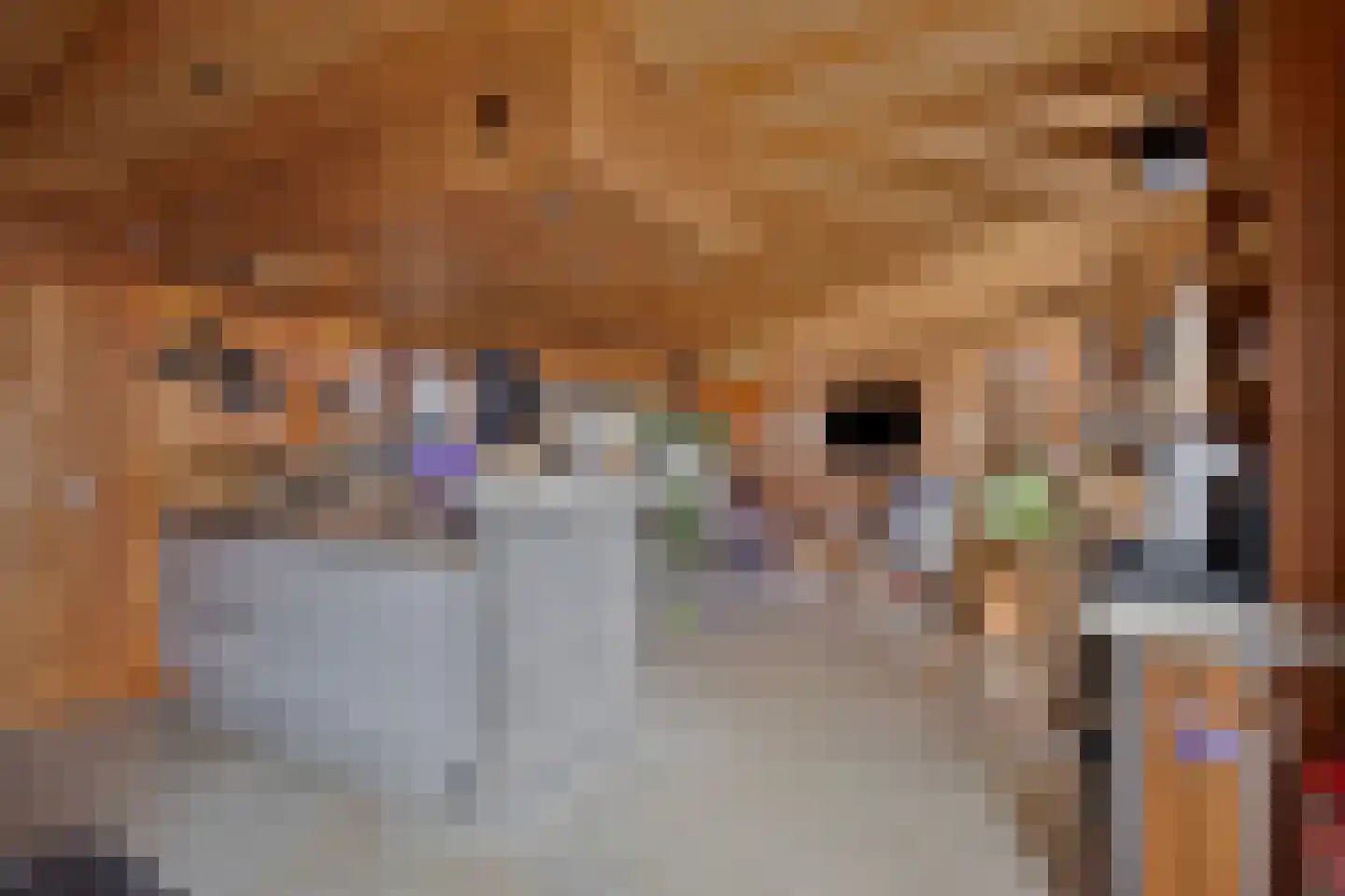 Galgendijk 3 Dinteloord thumbnail 6