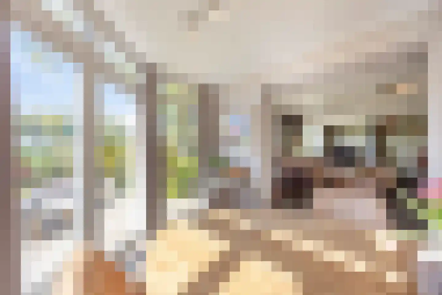 Galgendijk 5 Dinteloord thumbnail 18