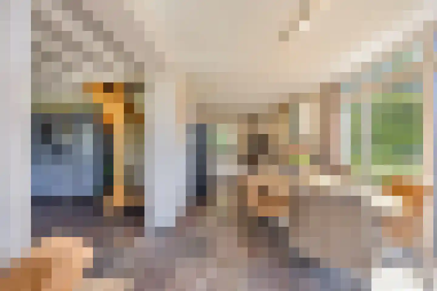 Galgendijk 5 Dinteloord thumbnail 19