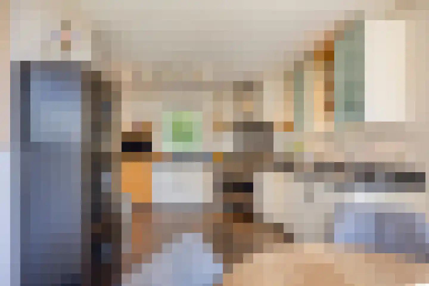 Galgendijk 5 Dinteloord thumbnail 20