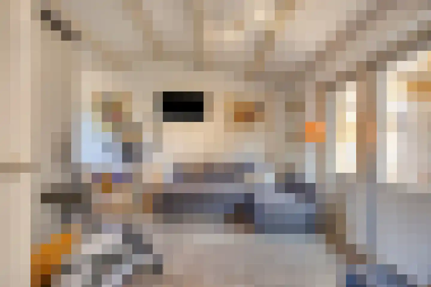 Galgendijk 5 Dinteloord thumbnail 23