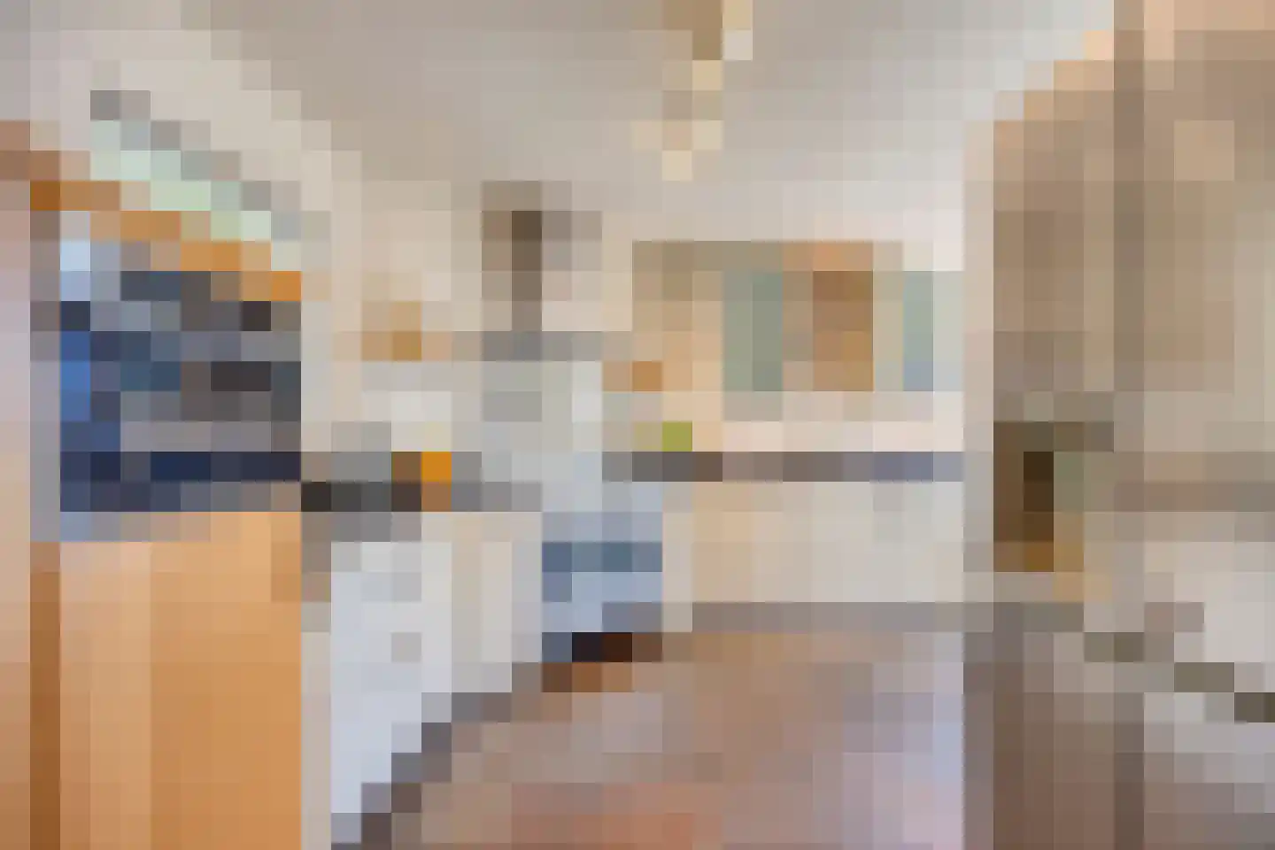 Galgendijk 5 Dinteloord thumbnail 23