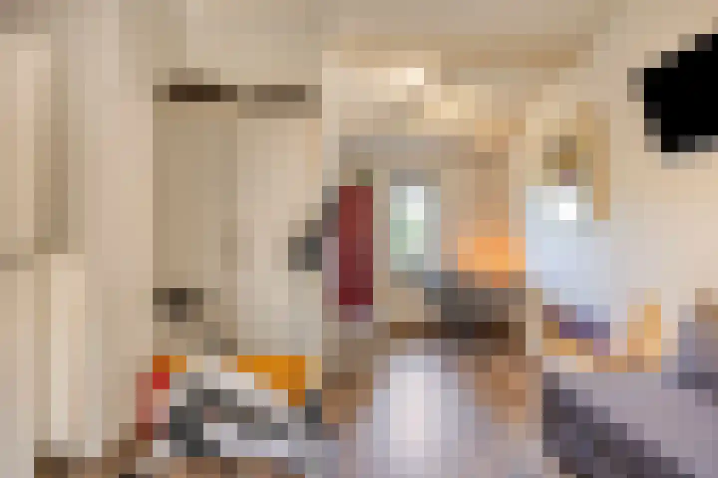Galgendijk 5 Dinteloord thumbnail 24