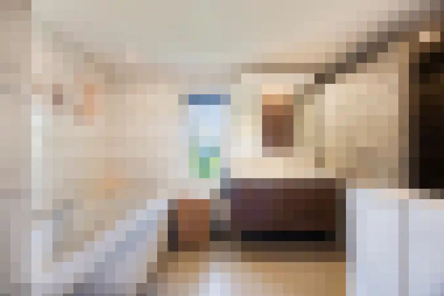 Galgendijk 5 Dinteloord thumbnail 25