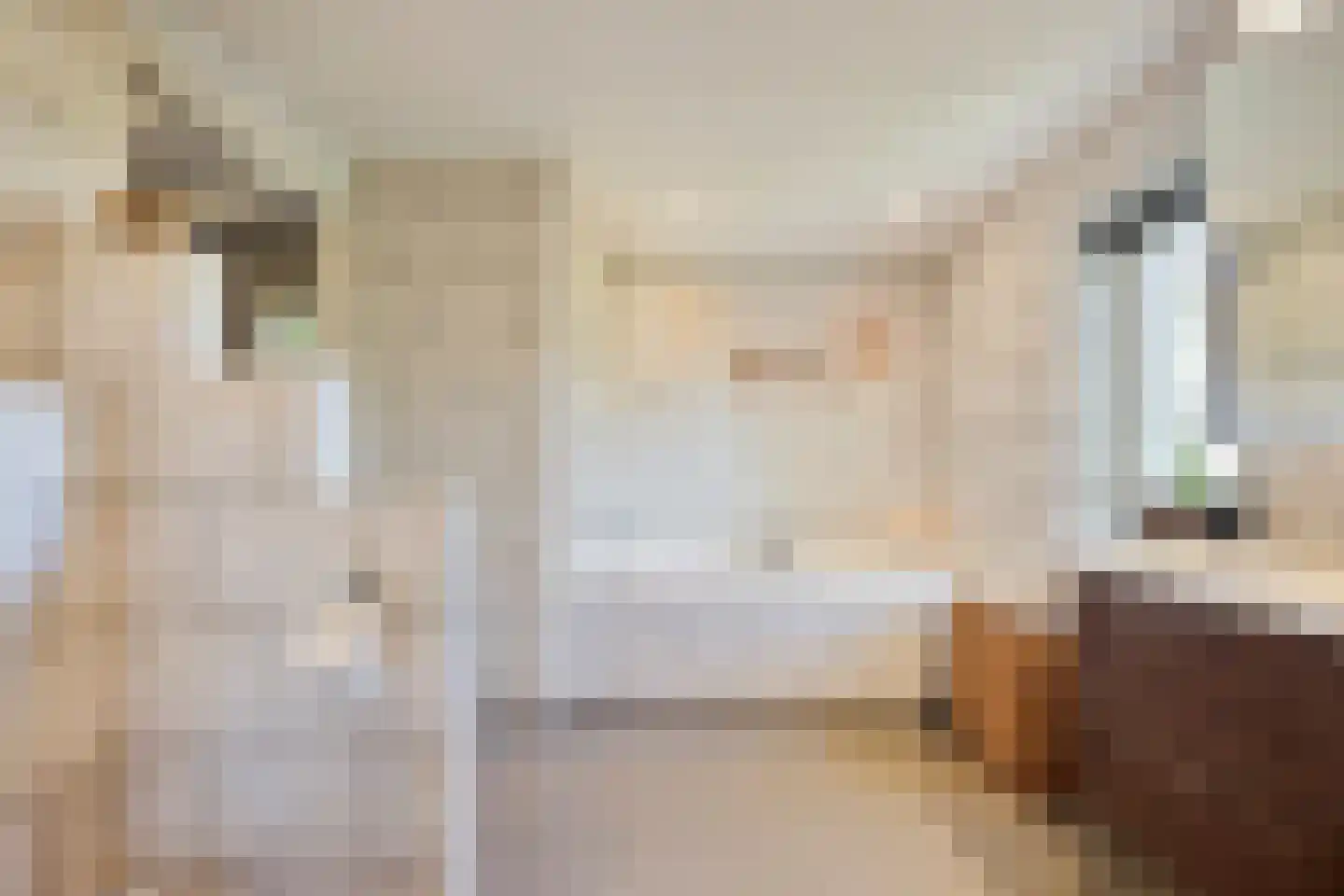 Galgendijk 5 Dinteloord thumbnail 27