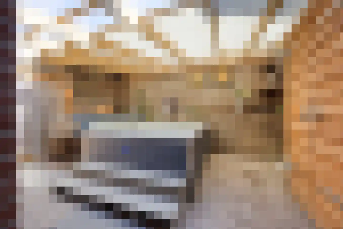Galgendijk 5 Dinteloord thumbnail 28