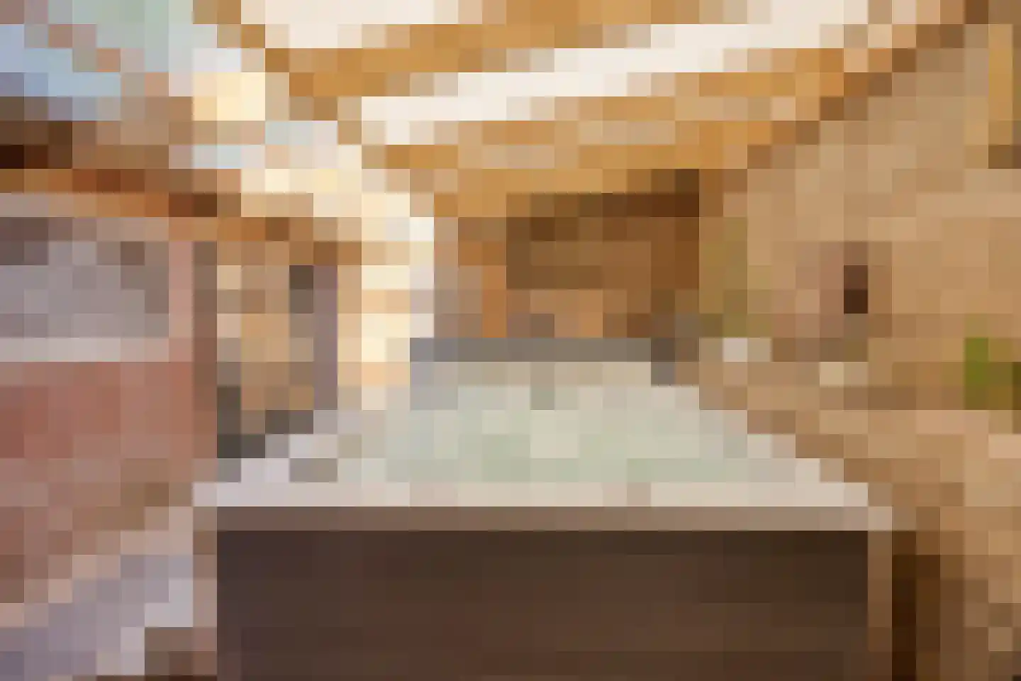 Galgendijk 5 Dinteloord thumbnail 29