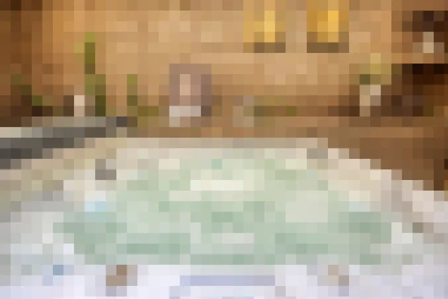 Galgendijk 5 Dinteloord thumbnail 30